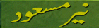 butt1.gif (4186 bytes)