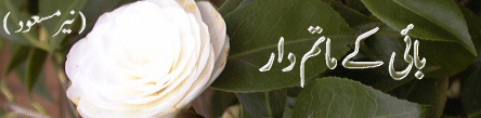 baar1.gif (38512 bytes)
