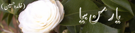 baar2.gif (38218 bytes)