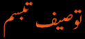 6.gif (1986 bytes)