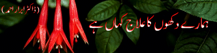 Hamaray Dukh
